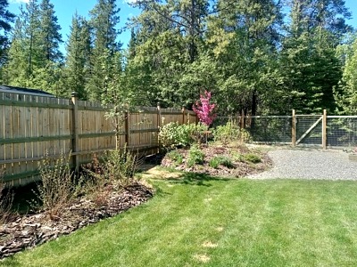 evolving landscape design, shrubs, trees, lawn, gravel
