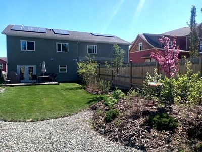 mature landscaping, crabapple in flower,
