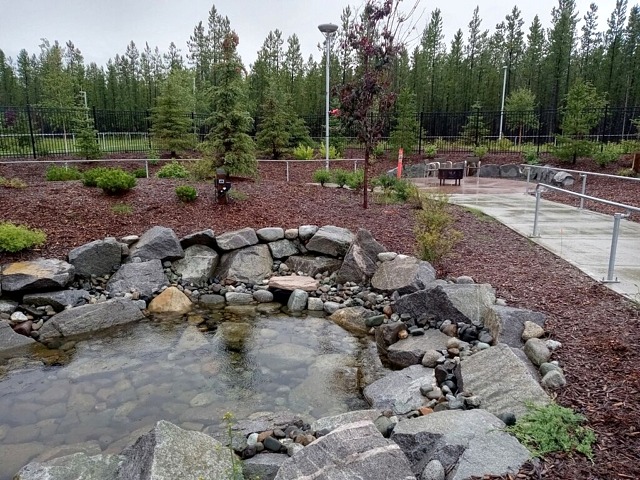 water feature, native plants, forest background